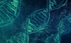 Araştırma: Erkekliği Belirleyen Y Kromozomu Evrimsel Süreçte Kayboluyor mu?