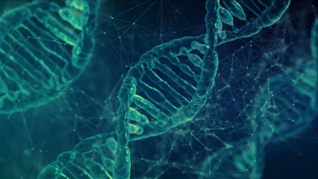 Araştırma: Erkekliği Belirleyen Y Kromozomu Evrimsel Süreçte Kayboluyor mu?